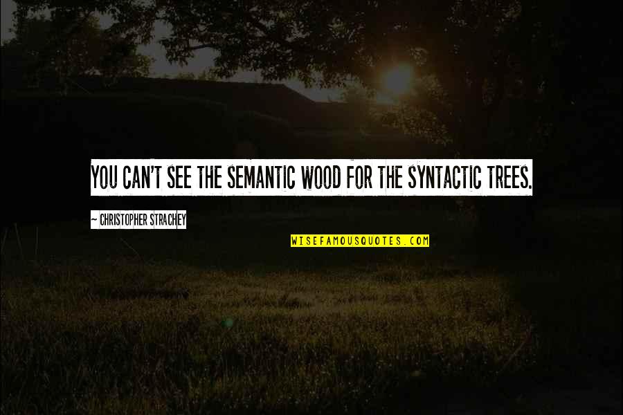 Father In Law Death Quotes By Christopher Strachey: You can't see the semantic wood for the