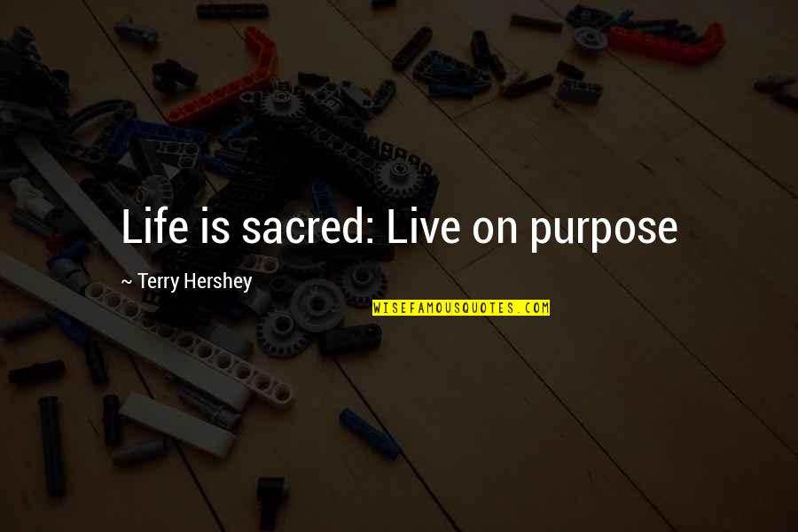 Father's Day Grilling Quotes By Terry Hershey: Life is sacred: Live on purpose