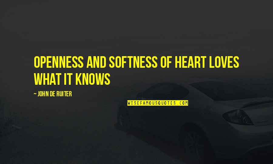 Favorite Hobby Quotes By John De Ruiter: Openness and softness of heart loves what it