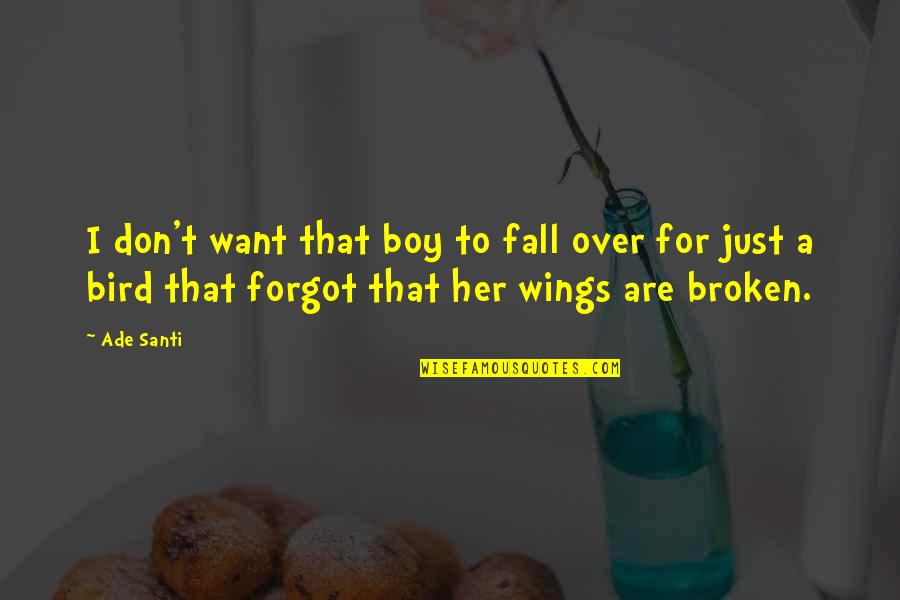 Fb Offline Quotes By Ade Santi: I don't want that boy to fall over