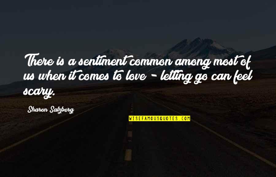 Fear To Love Quotes By Sharon Salzberg: There is a sentiment common among most of