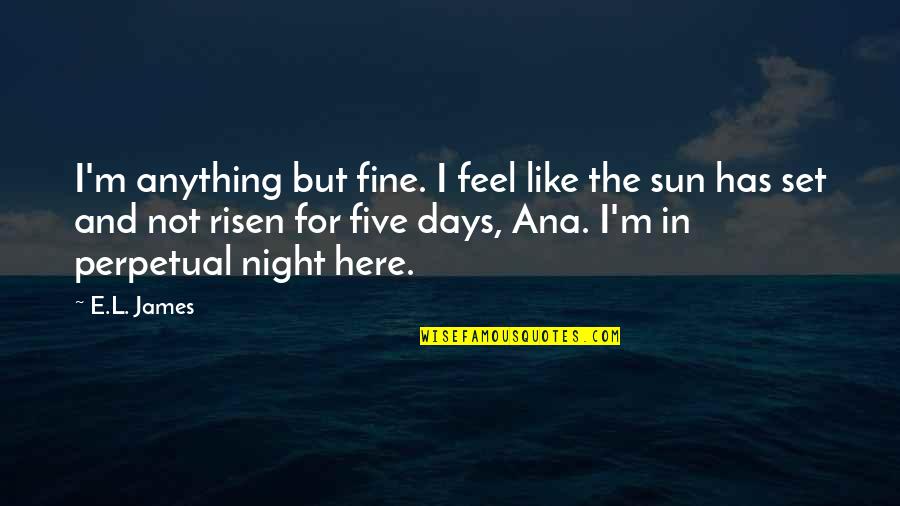 Feel The Sun Quotes By E.L. James: I'm anything but fine. I feel like the