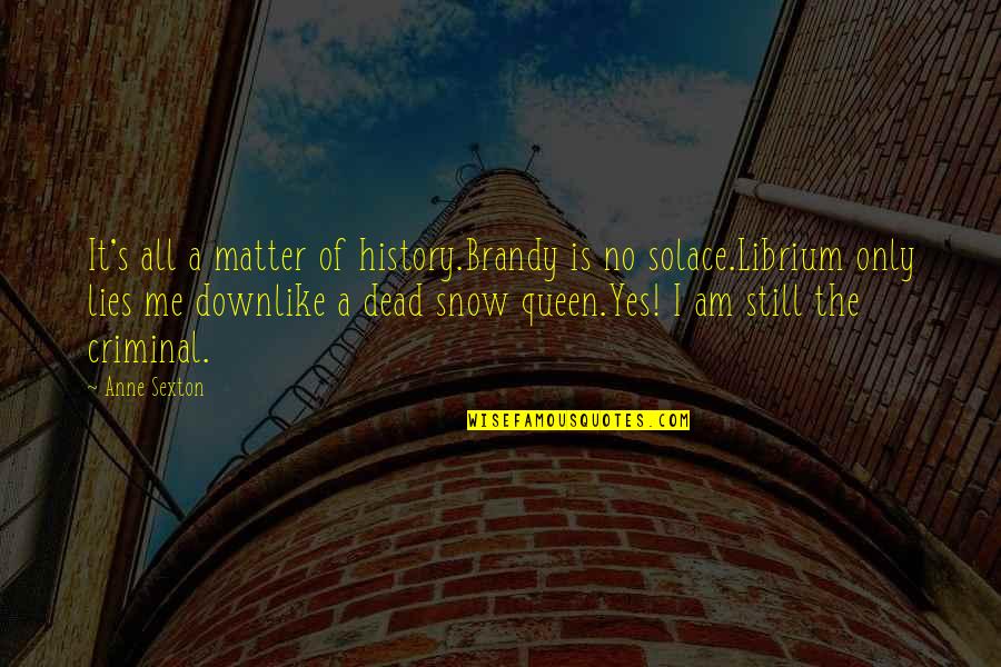 Feeling Like A Kid Again Quotes By Anne Sexton: It's all a matter of history.Brandy is no