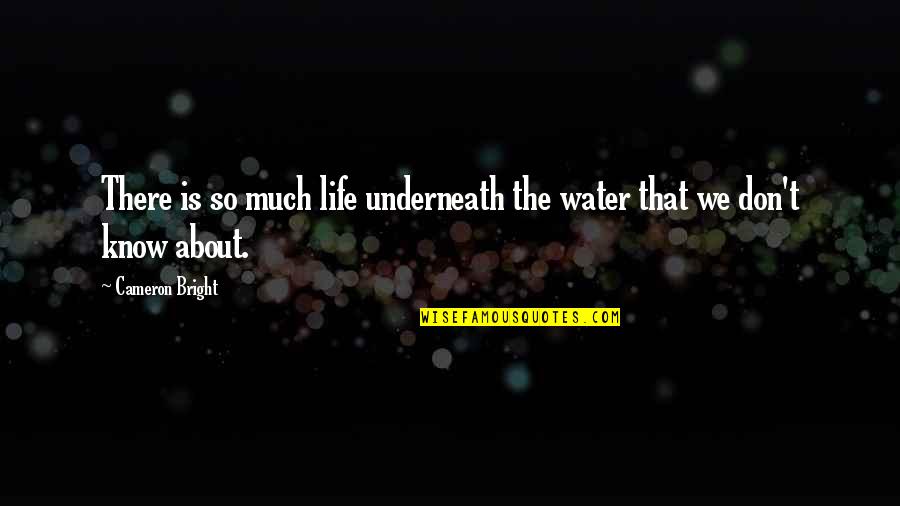 Feeling Overlooked Quotes By Cameron Bright: There is so much life underneath the water