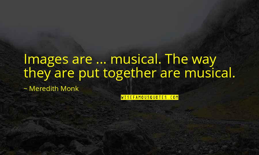 Feeling Overlooked Quotes By Meredith Monk: Images are ... musical. The way they are