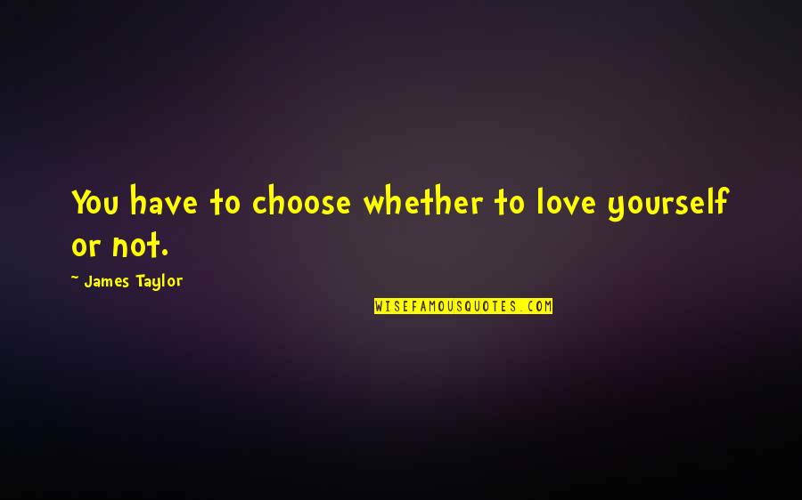 Feeling Used By A Friend Quotes By James Taylor: You have to choose whether to love yourself