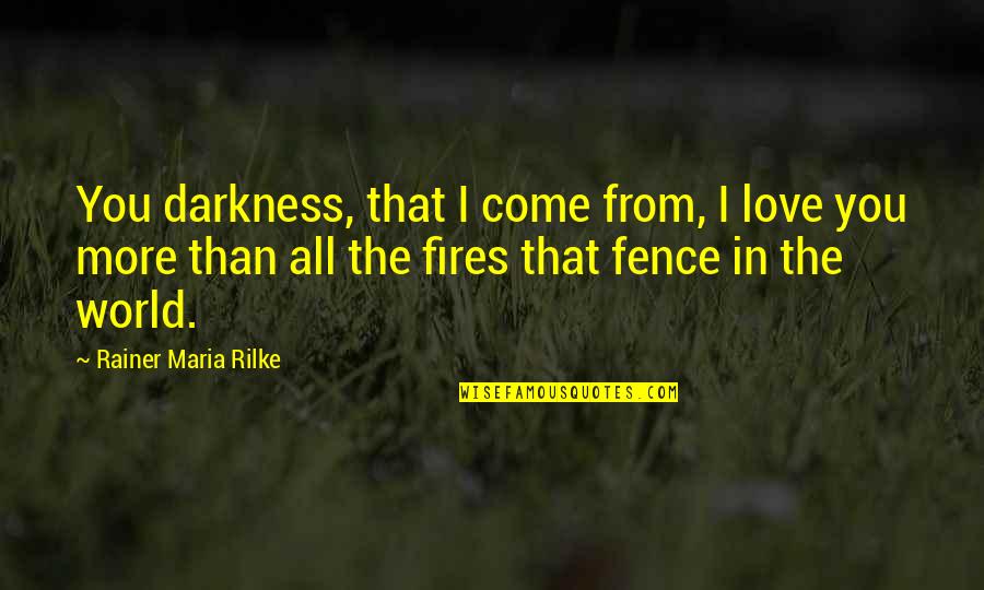 Feigenbutz Vs Quotes By Rainer Maria Rilke: You darkness, that I come from, I love