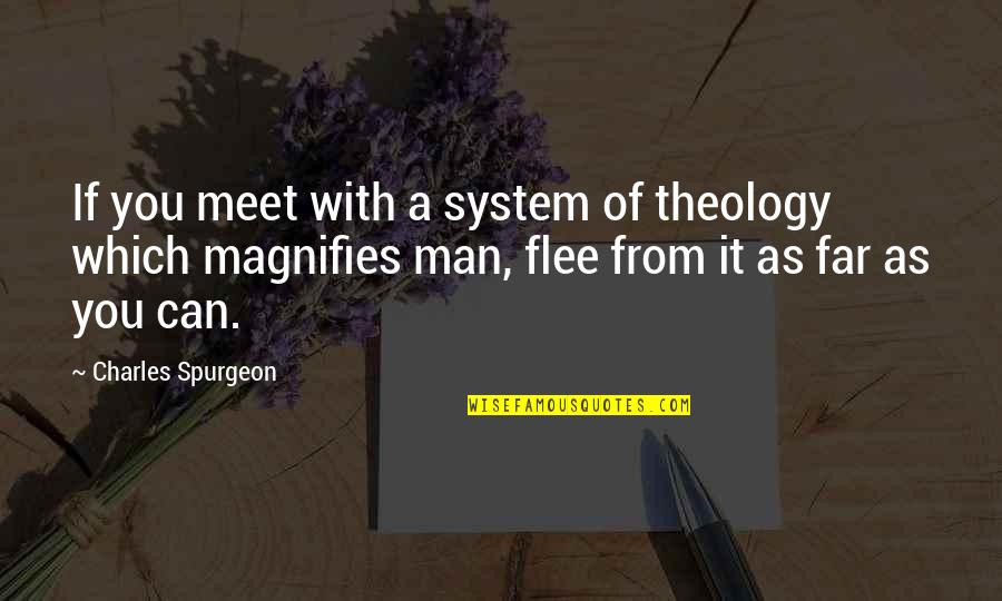 Fellowman Quotes By Charles Spurgeon: If you meet with a system of theology