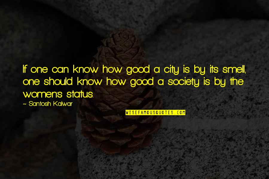 Feminism Society Quotes By Santosh Kalwar: If one can know how good a city