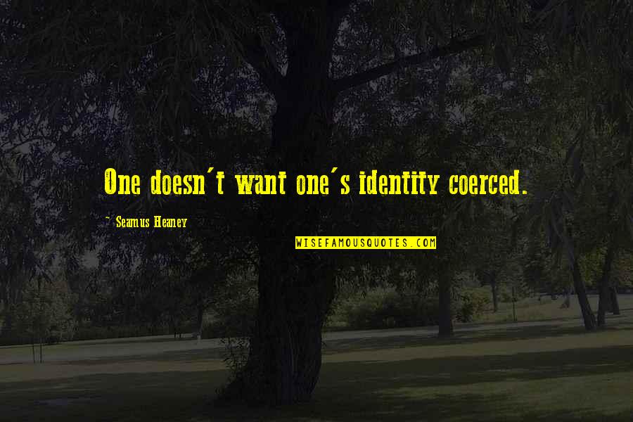 Fence Sitters Quotes By Seamus Heaney: One doesn't want one's identity coerced.