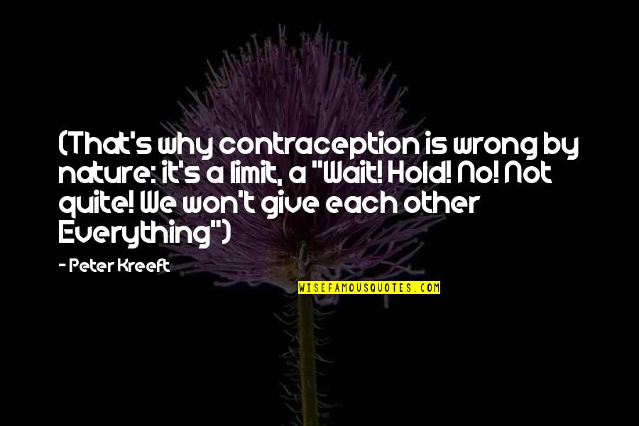 Feng Shui Money Quotes By Peter Kreeft: (That's why contraception is wrong by nature: it's