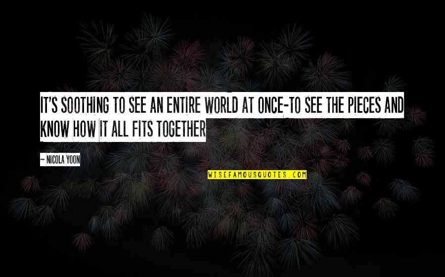 Festejabamos Quotes By Nicola Yoon: It's soothing to see an entire world at