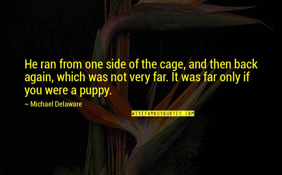 Festin Quotes By Michael Delaware: He ran from one side of the cage,