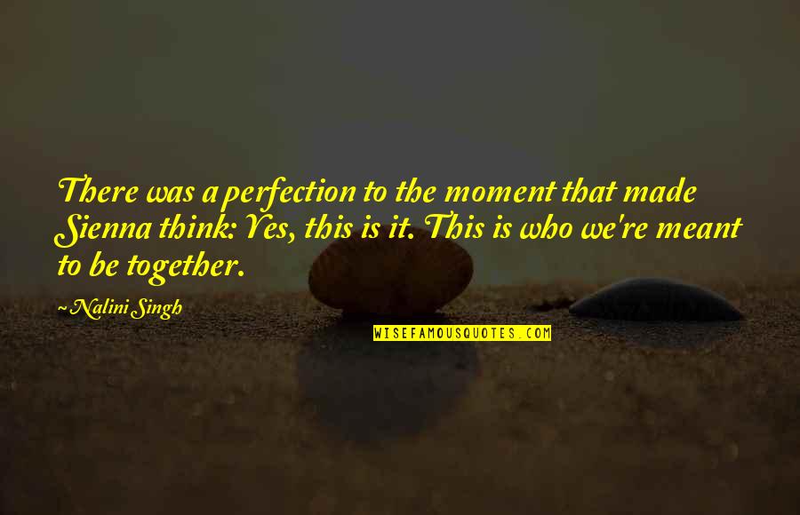 Ficus Lyrata Quotes By Nalini Singh: There was a perfection to the moment that
