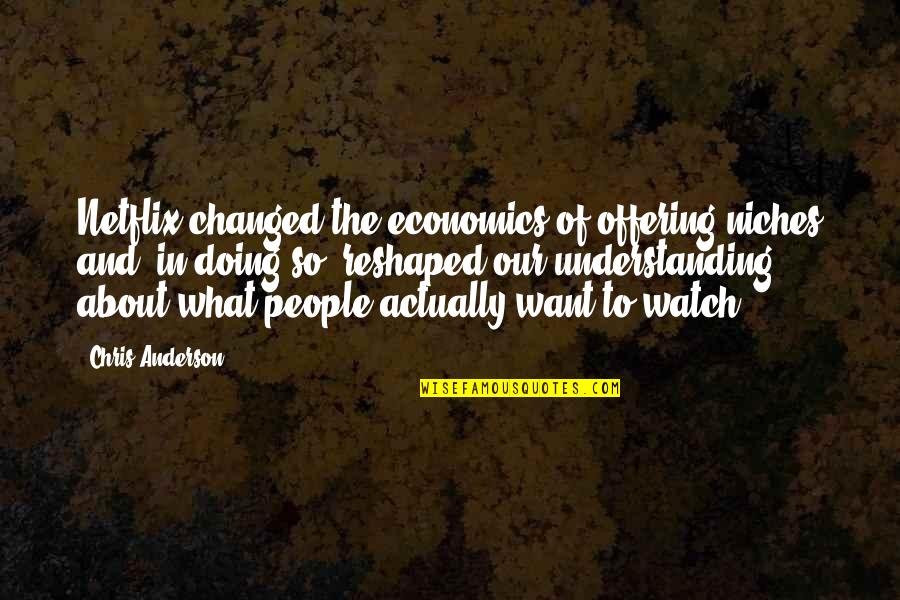 Fidget The Bat Quotes By Chris Anderson: Netflix changed the economics of offering niches and,