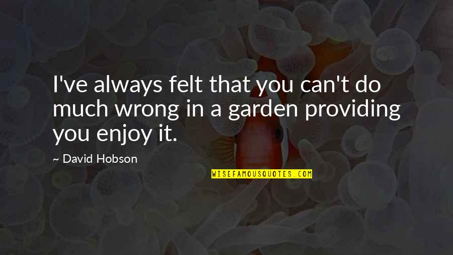 Fight Your Own Demons Quotes By David Hobson: I've always felt that you can't do much