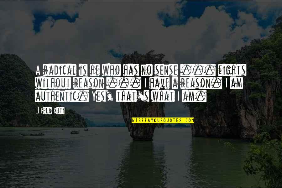 Fighting For No Reason Quotes By Fela Kuti: A radical is he who has no sense