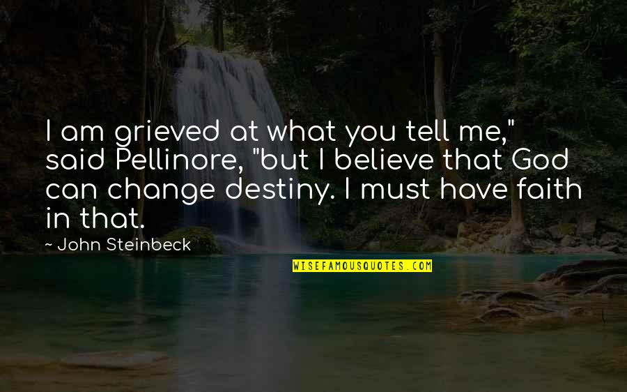 File_get_contents Quotes By John Steinbeck: I am grieved at what you tell me,"