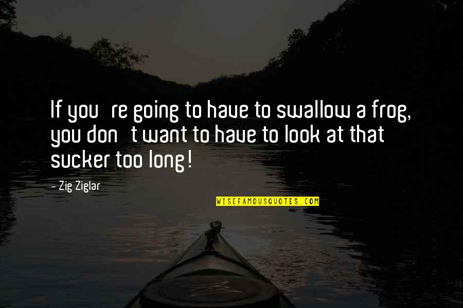 Filip Peeters Quotes By Zig Ziglar: If you're going to have to swallow a