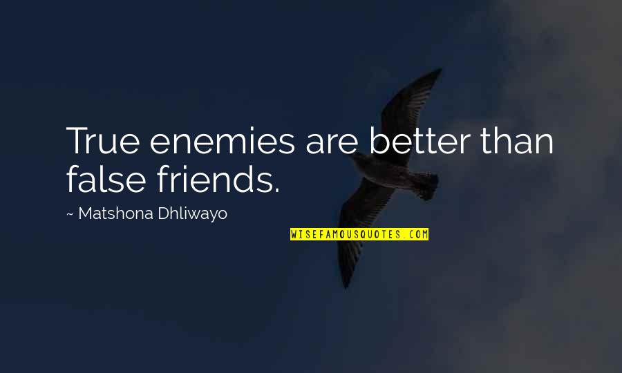 Final Fantasy 15 Aranea Quotes By Matshona Dhliwayo: True enemies are better than false friends.