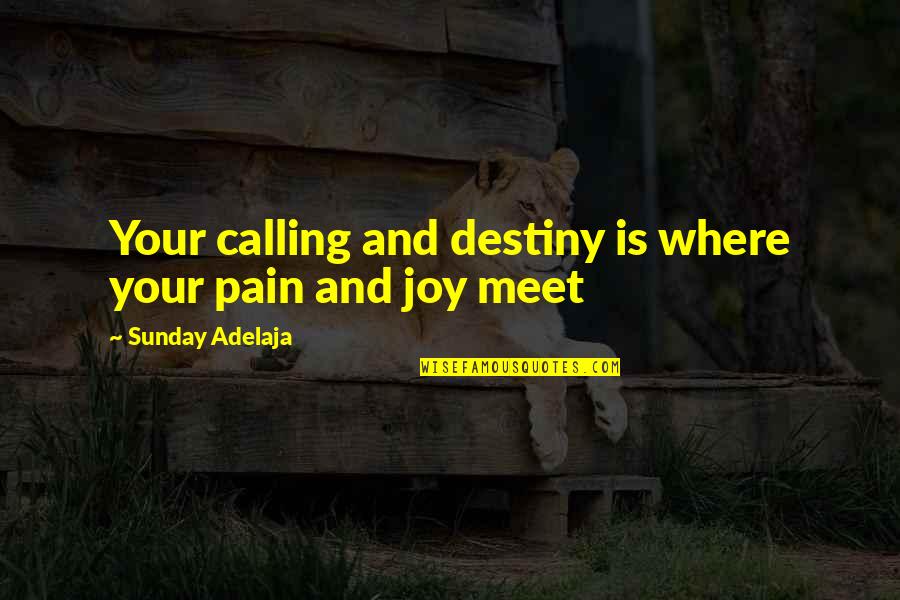 Finance And Money Quotes By Sunday Adelaja: Your calling and destiny is where your pain