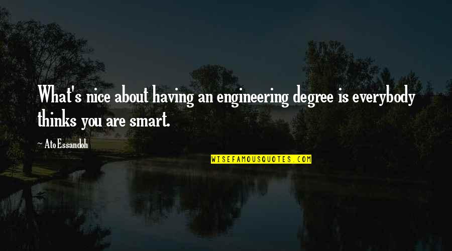 Finances In Marriage Quotes By Ato Essandoh: What's nice about having an engineering degree is