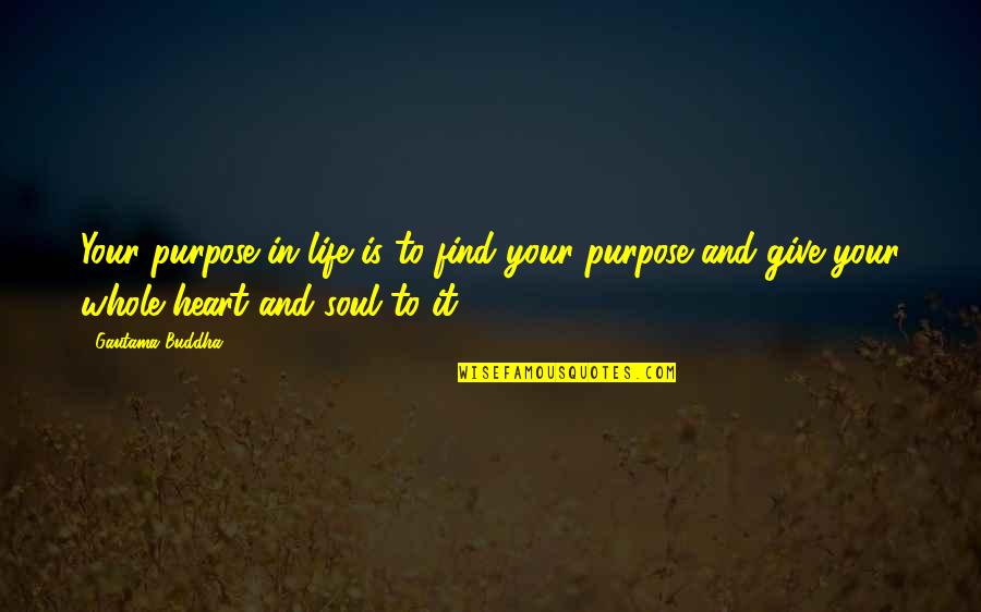 Find Your Purpose In Life Quotes By Gautama Buddha: Your purpose in life is to find your