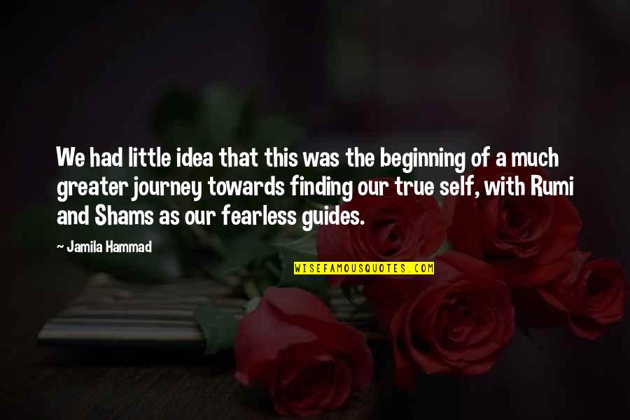 Finding Quotes By Jamila Hammad: We had little idea that this was the