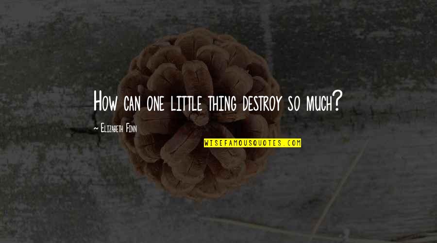 Finn Quotes By Elizabeth Finn: How can one little thing destroy so much?