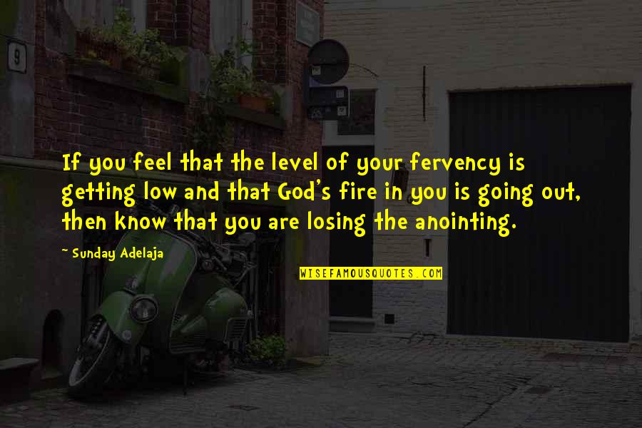 Fire Of God Quotes By Sunday Adelaja: If you feel that the level of your