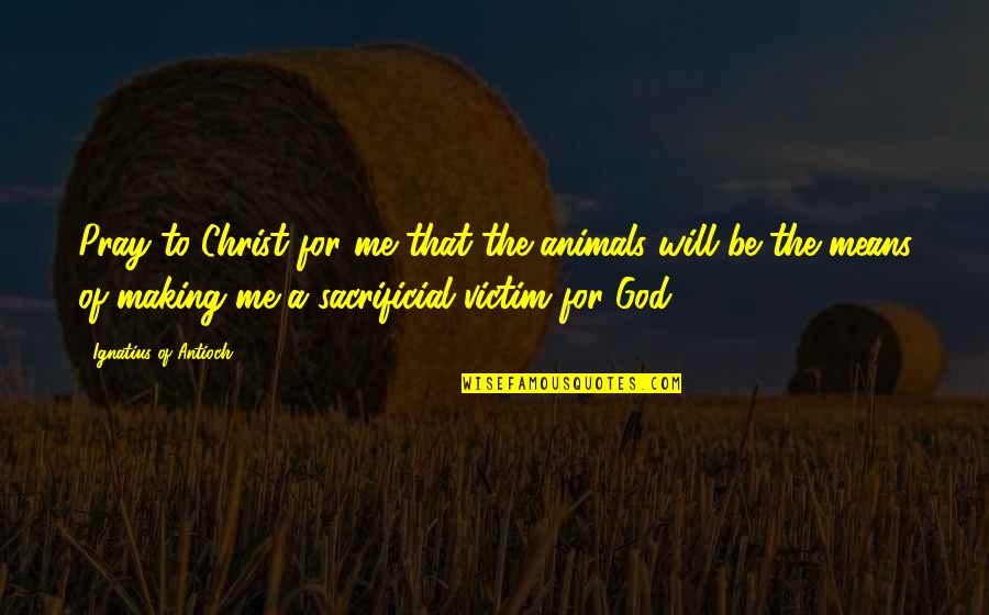 Firehole Ranch Quotes By Ignatius Of Antioch: Pray to Christ for me that the animals