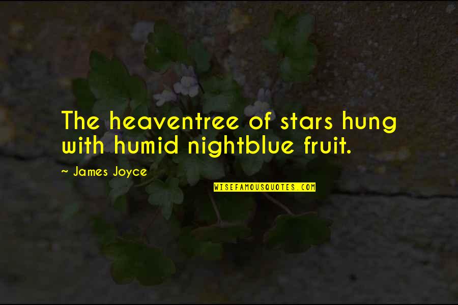 First Nations Elder Quotes By James Joyce: The heaventree of stars hung with humid nightblue