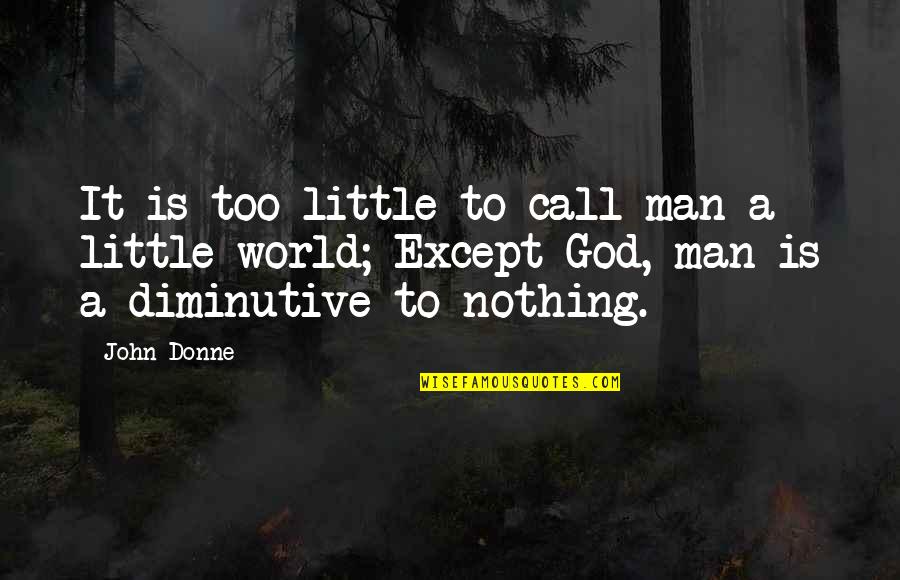 Fish Like Flounder Quotes By John Donne: It is too little to call man a