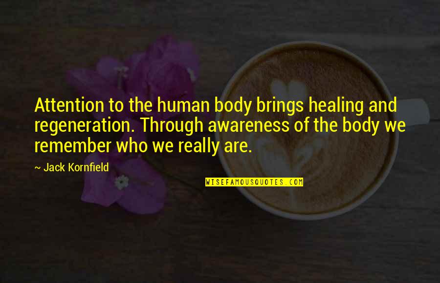 Fistful Of Meg Quotes By Jack Kornfield: Attention to the human body brings healing and