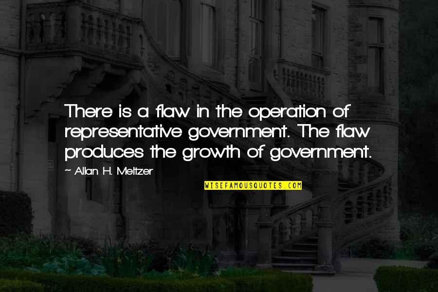 Flaw Quotes By Allan H. Meltzer: There is a flaw in the operation of