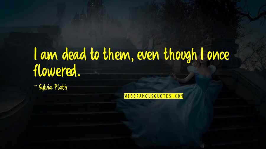 Flight Leonardo Da Vinci Quotes By Sylvia Plath: I am dead to them, even though I