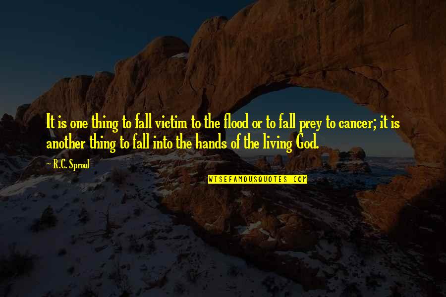 Flood Quotes By R.C. Sproul: It is one thing to fall victim to