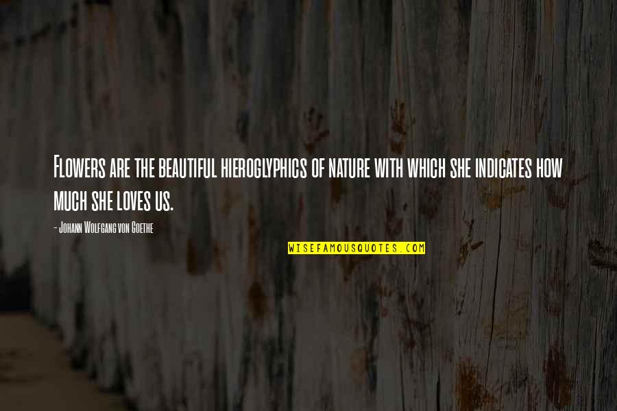 Flower And Garden Quotes By Johann Wolfgang Von Goethe: Flowers are the beautiful hieroglyphics of nature with