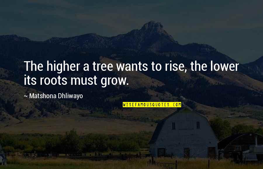Flower Centerpiece Quotes By Matshona Dhliwayo: The higher a tree wants to rise, the