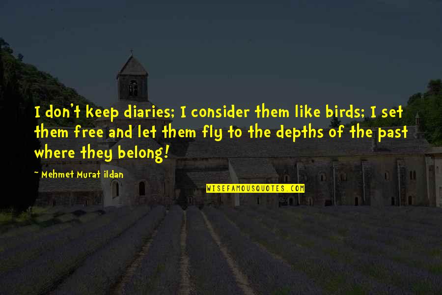 Fly Fly Quotes By Mehmet Murat Ildan: I don't keep diaries; I consider them like