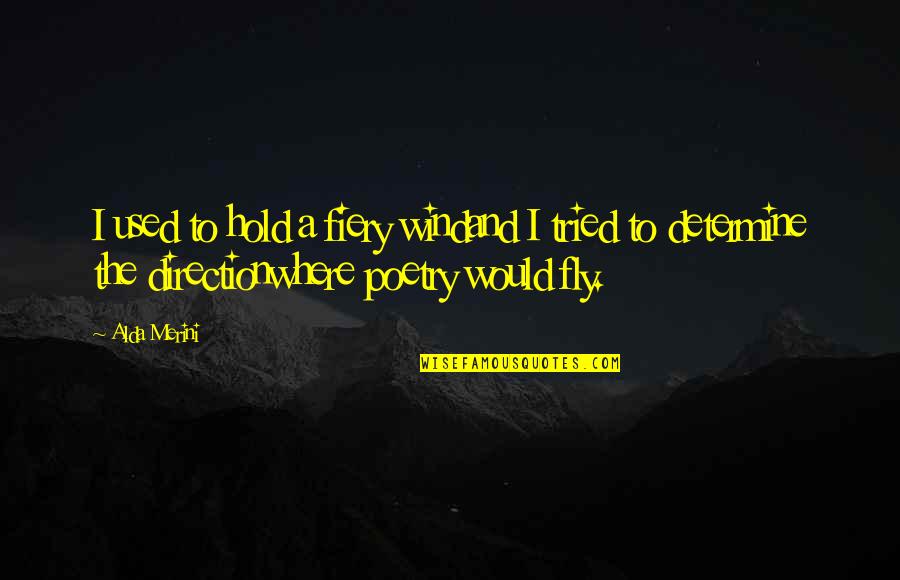 Fly Quotes By Alda Merini: I used to hold a fiery windand I