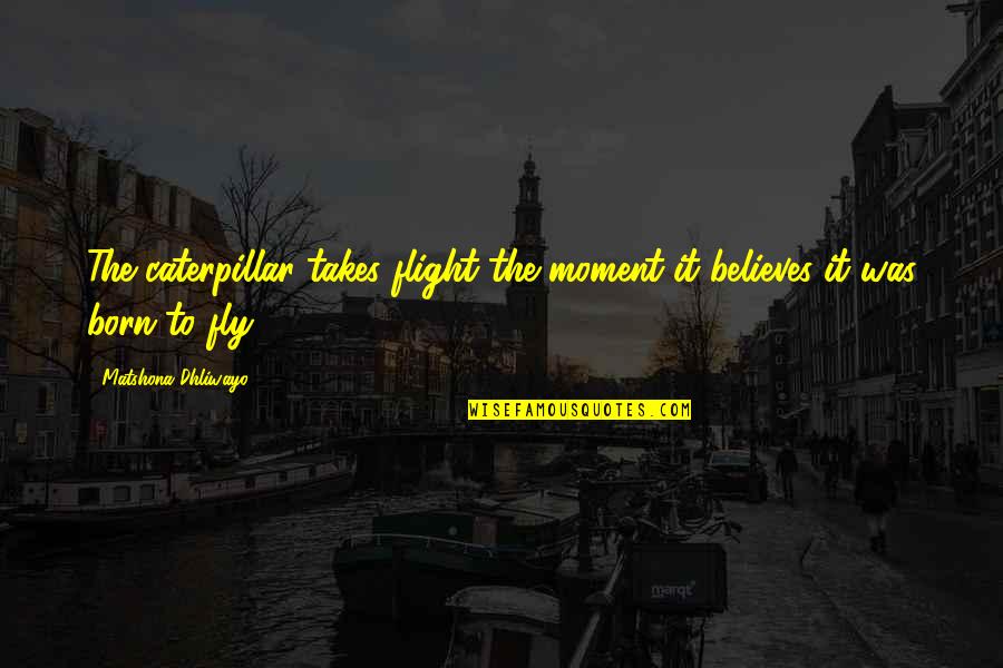 Fly Quotes Quotes By Matshona Dhliwayo: The caterpillar takes flight the moment it believes