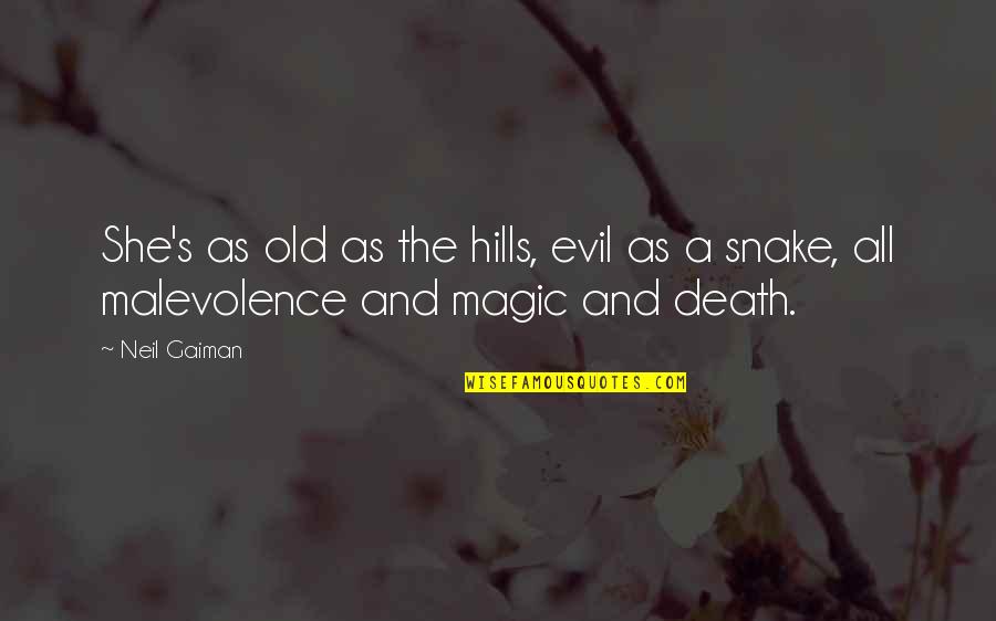 Focus Therapy Quotes By Neil Gaiman: She's as old as the hills, evil as