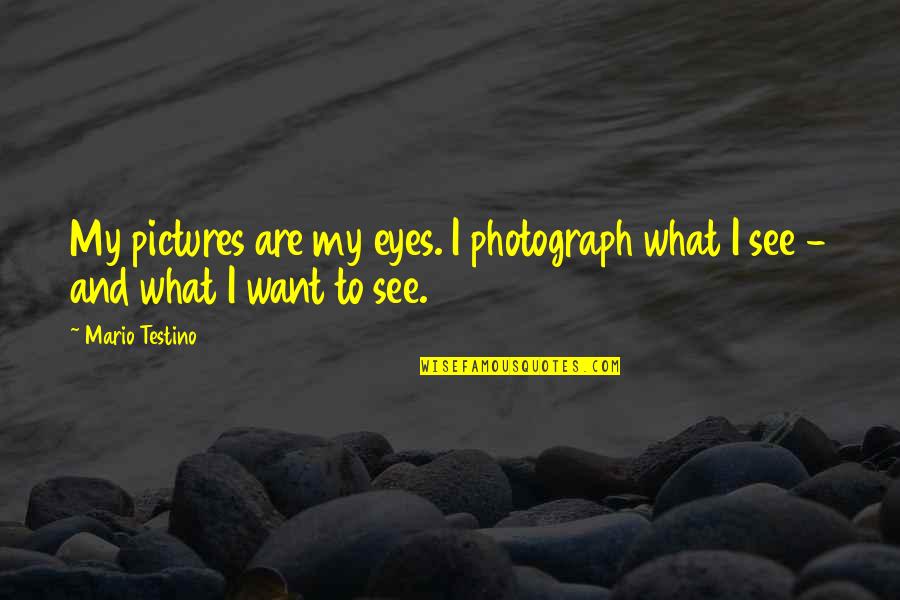 Folletto Vr200 Quotes By Mario Testino: My pictures are my eyes. I photograph what
