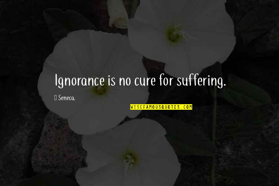 Footbath Quotes By Seneca.: Ignorance is no cure for suffering.