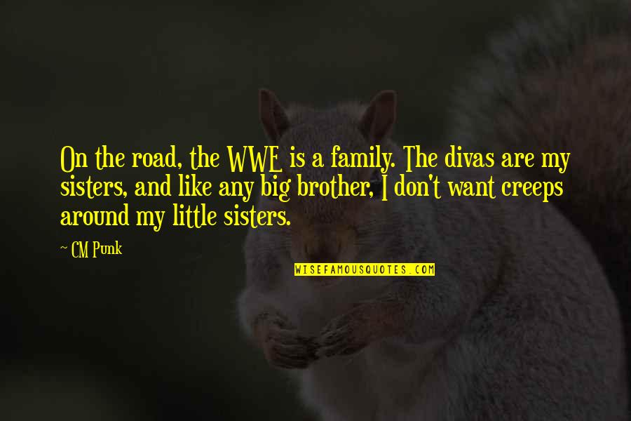 For Big Sister Quotes By CM Punk: On the road, the WWE is a family.