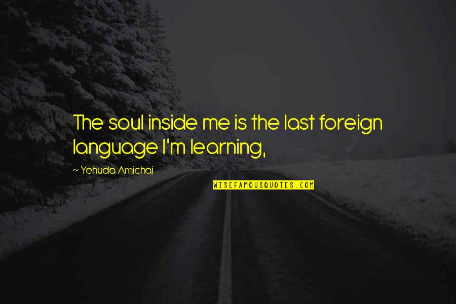 Foreign Language Learning Quotes By Yehuda Amichai: The soul inside me is the last foreign