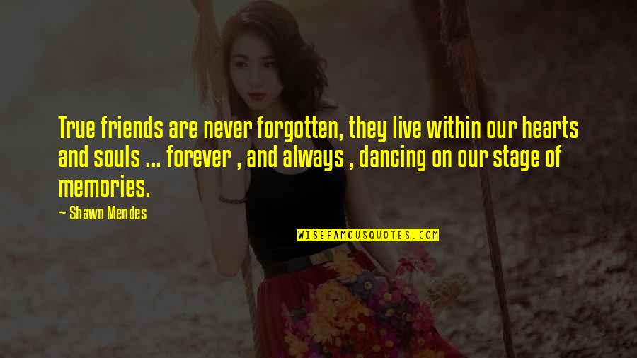 Forever Friendship Quotes By Shawn Mendes: True friends are never forgotten, they live within