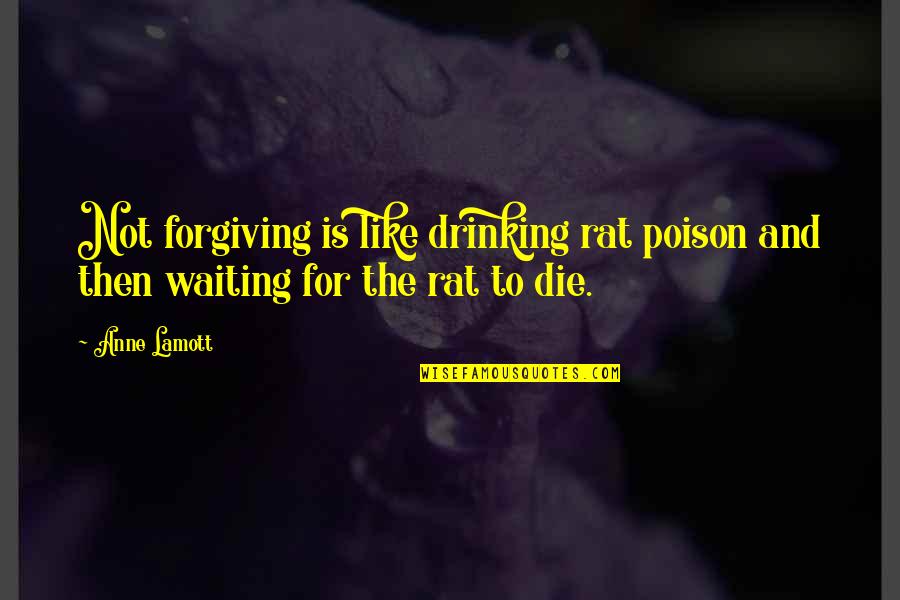 Forgiving Your Ex Quotes By Anne Lamott: Not forgiving is like drinking rat poison and