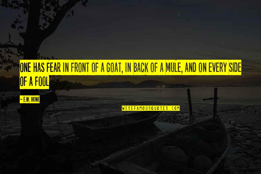 Formiergas Quotes By E.W. Howe: One has fear in front of a goat,